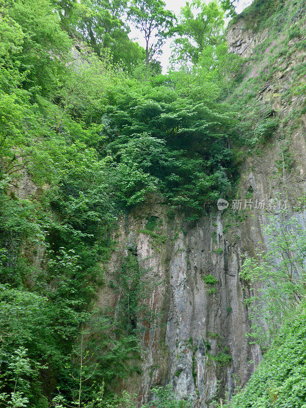 Monsal Dale,德比郡